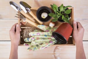 gardening hand tools