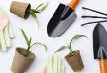 best gardening tool - sproutogether