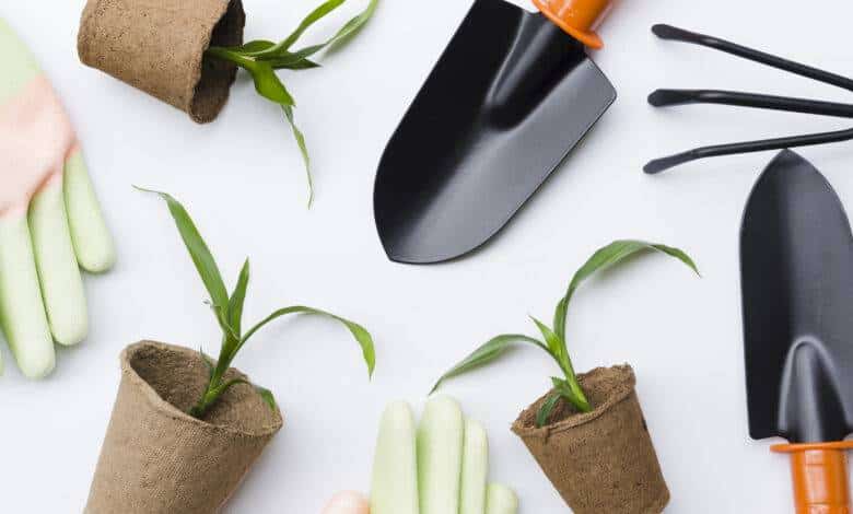 best gardening tool - sproutogether